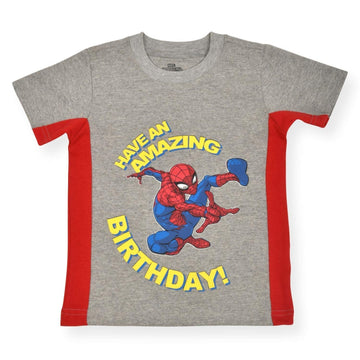 Boys' Spiderman Birthday T-Shirt Size 2T MARVEL Spiderman T-Shirt